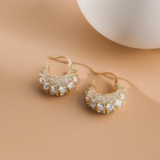 Zircon Stereo Sparkle Earrings