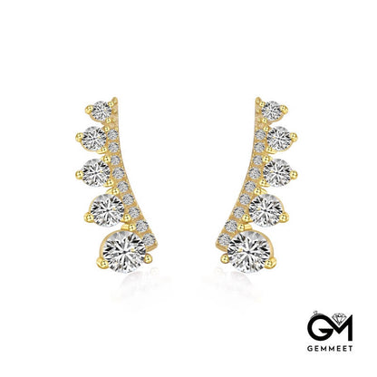 S925 Sterling Silver Zircon Delicacy Earrings