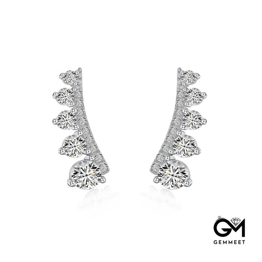 S925 Silver Zircon Delicacy Earrings