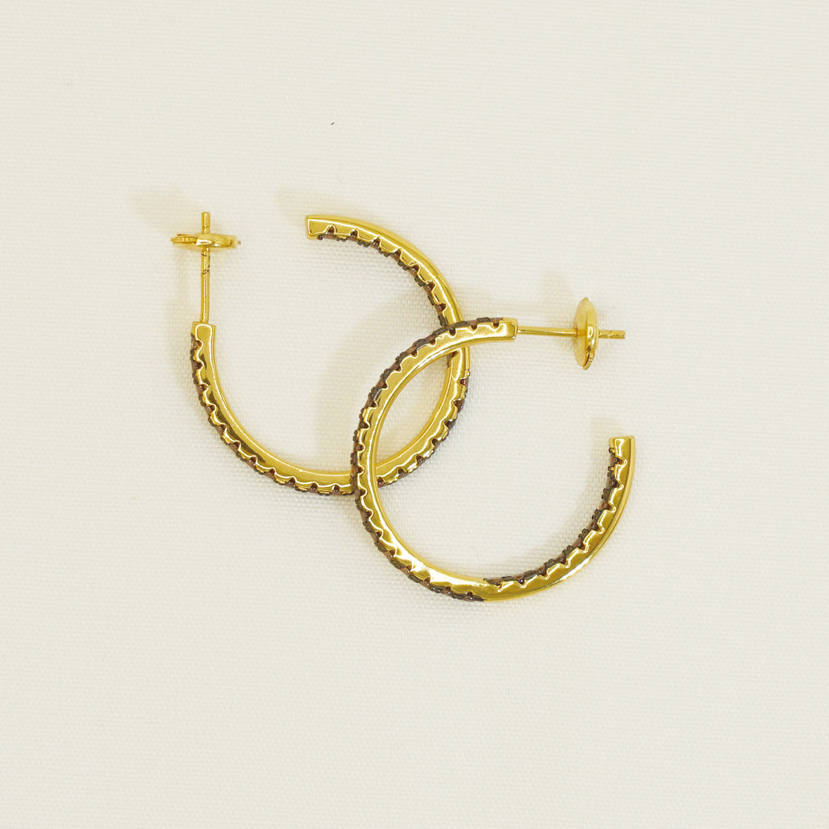 Golden Brown Stones Hoop Earrings