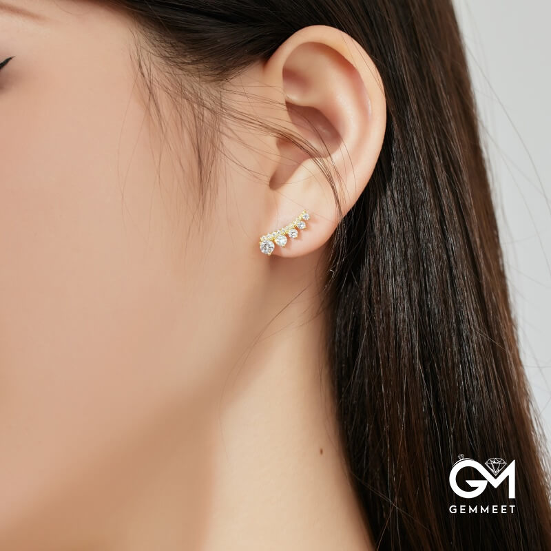 S925 Sterling Silver Zircon Delicacy Earrings